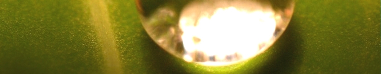 BoschiRenzo Pranoterapeuta - Chi Sono